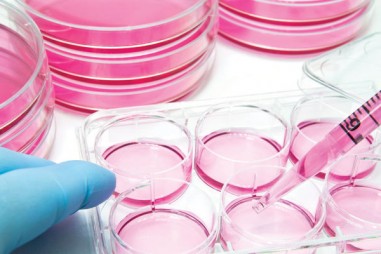 Khám phá vượt ngoài giới hạn của các thử nghiệm điểm cuối với phân tích và hình ảnh tế bào sống