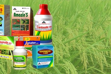 Thực hiện ghi nhãn thuốc BVTV theo GHS từ ngày 01/8/2020