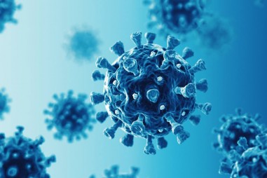 Chiết xuất rong biển vượt trội hơn Remdesivir trong việc ngăn chặn virus COVID-19