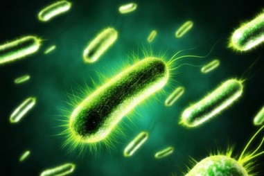 “Giải mã” vũ khí gây ung thư của loại vi khuẩn miễn nhiễm axít dạ dày