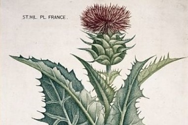 Hệ dẫn thuốc nano tự nhũ hóa: Giải pháp bào chế tiên tiến