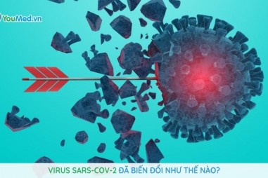 Vi rút được tạo ra từ phòng thử nghiệm giống vi rút COVID-19