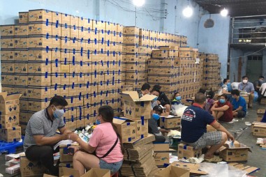 Găng tay y tế đã qua sử dụng được tái sử dụng thế nào?