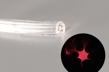 Sợi quang làm từ gel có nguồn gốc tảo biển