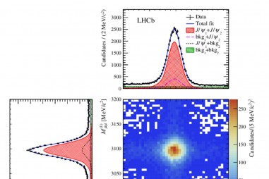 Bằng chứng tốt nhất cho sự tồn tại của các anyon
