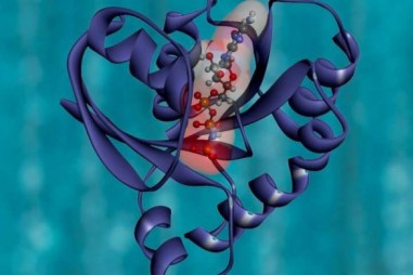 Tìm ra công thức sản xuất protein nhân tạo