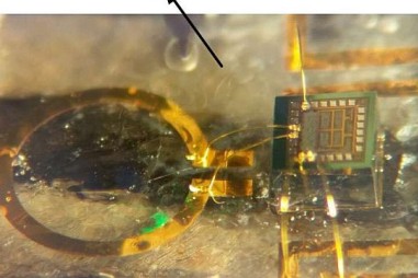 Máy cảm biến cấy ghép cung cấp tùy chọn không dây cho thiết bị y sinh