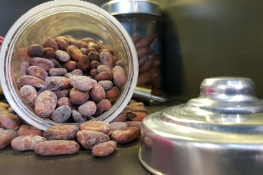 Thử nghiệm hợp chất hoạt tính sinh học cho các sản phẩm ca cao được bật đèn xanh