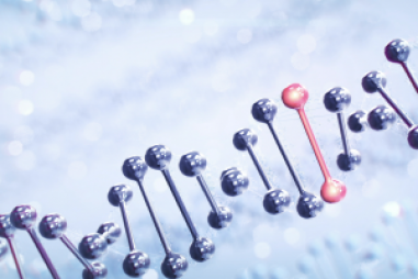 Các nhà nghiên cứu phát triển máy báo phát quang sinh học để phát hiện sửa chữa đứt gãy DNA