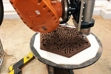 Hongkong. Phục hồi quần thể san hô bằng gạch in 3D