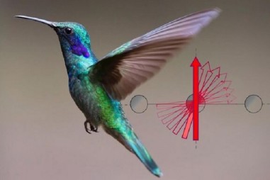 Tại sao đôi khi đo đạc các đặc tính vật liệu khác nhau lại đem đến những kết quả khác nhau?