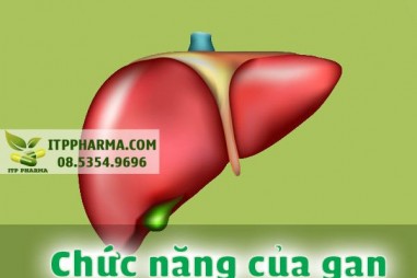 Biệt hóa tế bào chức năng gan từ tế bào gốc người và chuột