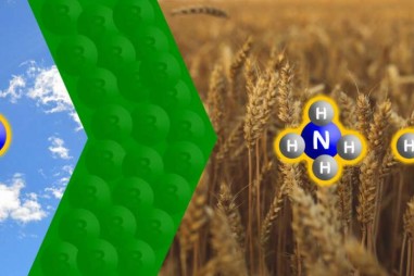 Khử nitơ bằng Boron và bia