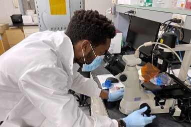 Virus SARS-CoV-2. Cuộc đua tìm hiểu về các đột biến