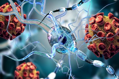 Virus SARS-CoV-2 có thể tấn công các tế bào não