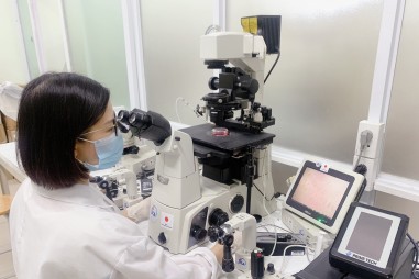 Biệt hóa tế bào chức năng gan từ tế bào gốc người và chuột