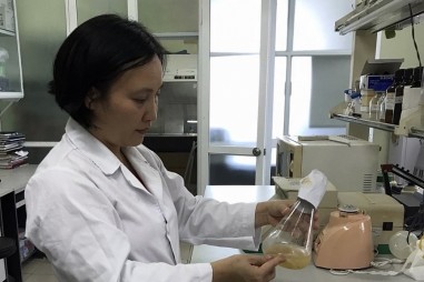 Chế phẩm sinh học phân hủy nhựa cây