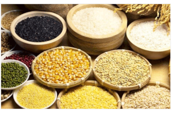 Chương trình VPT.2.5.20.82 - Chỉ tiêu chất lượng trong sữa đặc có đường