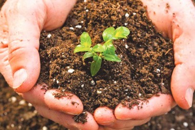 Chương trình VPT.2.5.20.168 - Chỉ tiêu chất lượng phân bón hữu cơ