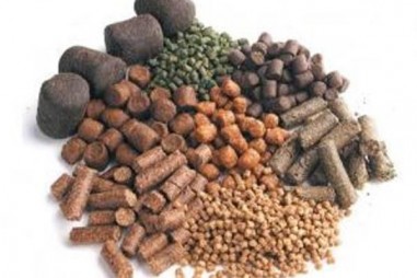 Chương trình VPT.2.6.20.93 - Vi sinh trong thức ăn thủy sản