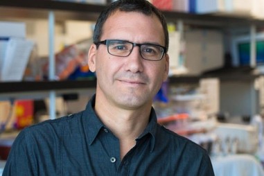 Phát hiện phương pháp giúp thu nhỏ khối u ác tính