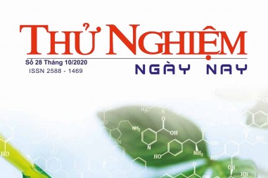 Thử nghiệm Ngày nay số 28