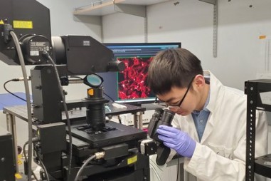 Cách để tế bào ung thư hoạt động