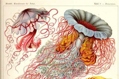 Vật lý nhìn vào vật chất sống và không sống