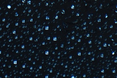 Tương tác DNA- Peptide có thể giúp hình thành cấu trúc sinh học