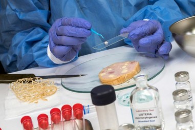 Khoa học và bằng chứng có thể thúc đẩy những thay đổi về an toàn thực phẩm như thế nào?