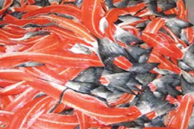 Nghiên cứu thu nhận PEPTIT mạch ngắn có hoạt tính chống oxy hóa từ phụ nhẩm cá hồi (Salmo salar)