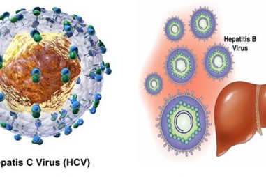 Nghiên cứu viêm gan C: Những người hùng thầm lặng