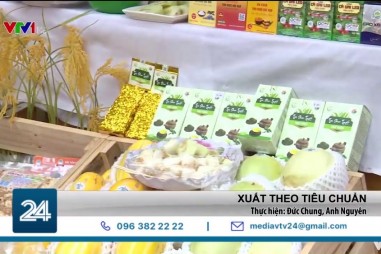 Doanh nghiệp đẩy mạnh sản xuất theo tiêu chuẩn