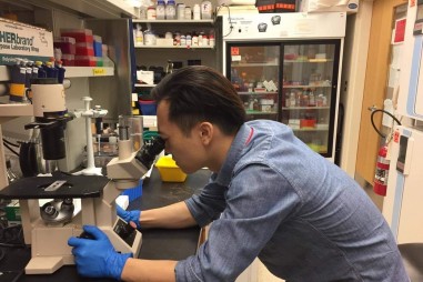 Sản xuất vaccine cúm A/H5N1: Chủ động tạo giống gốc của Việt Nam