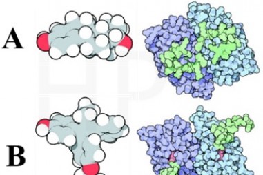 Fulvestrant - triển vọng độc đáo trong điều trị ung thư vú di căn