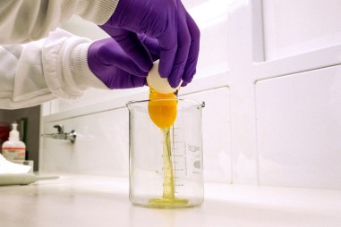 Thuốc xịt mũi làm từ kháng thể gà giúp chống virus corona