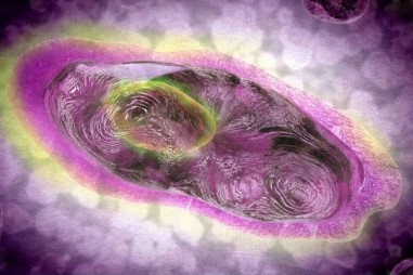 Lần đầu tiên phát hiện ra loại virus có thể tự tạo ra năng lượng