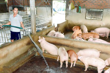 Tối ưu công nghệ xử lý yếm khí nước thải giàu hữu cơ