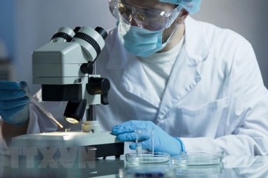 Châu Âu thử nghiệm siêu máy tính tìm kiếm thuốc điều trị COVID-19