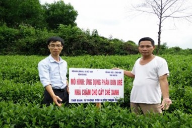 Phân bón nhả chậm: Bón một lần cho cả vụ canh tác