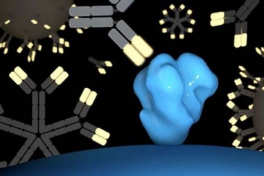 Phát hiện mới về vaccine ngừa HIV