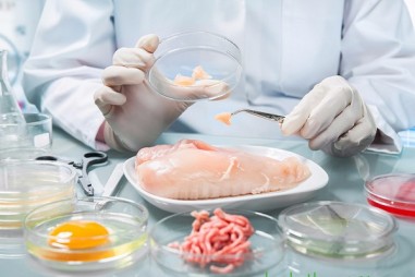 Công ty NHO-QSCert bị Cục Quản lý chất lượng nông lâm thủy sản đình chỉ thử nghiệm 3 tháng