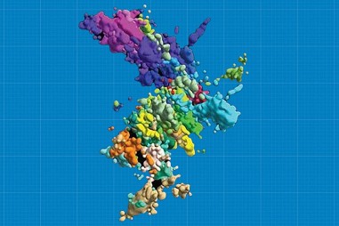 Hình ảnh 3D đầu tiên về nhiễm sắc thể người