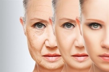 Xác định gene chịu trách nhiệm cho sự lão hóa tế bào