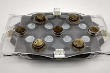 Thiết bị mới phát hiện vi khuẩn kháng kháng sinh nhanh hơn