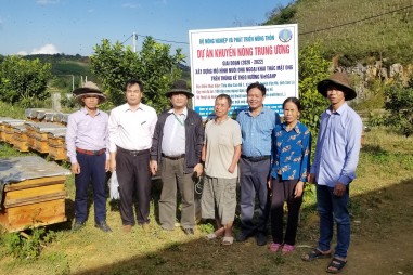 Nuôi ong theo hướng VietGAHP để nâng cao chất lượng sản phẩm