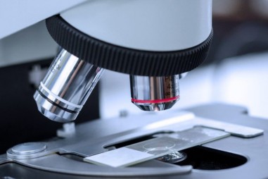 Các nhà khoa học vừa tìm ra cách nhìn thẳng qua hộp sọ của bạn mà không cần khoan một lỗ