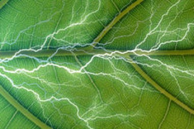 Phương pháp quang hợp nhân tạo mới thu nhận CO2 từ không khí và biến nó thành nhiên liệu