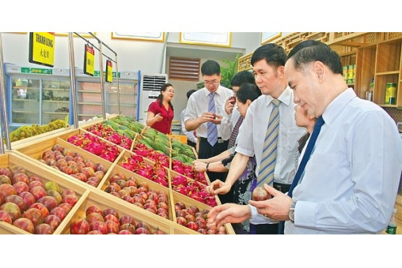 Đề xuất giải pháp tăng xuất khẩu nông sản Việt Nam sang một số nước Tây Âu