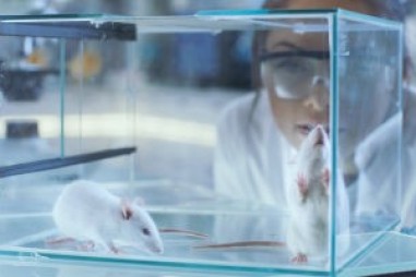 Công cụ mới cho phép chụp động vật cử động không đánh dấu theo thời gian thực